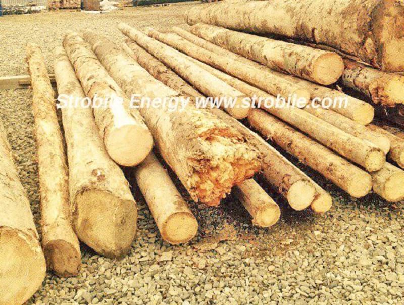 This are the raw materials used for the production of Virgin Wood Pellets Silver Fir. After the delivery from the mountains, the quality manager decides if the quality of timber satisfies the internal standards for the production of pellet.